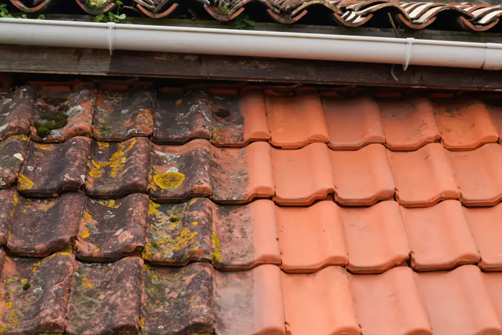 Traitement de toiture Marmande : Entretien professionnel de toitures pour une durabilité prolongée
