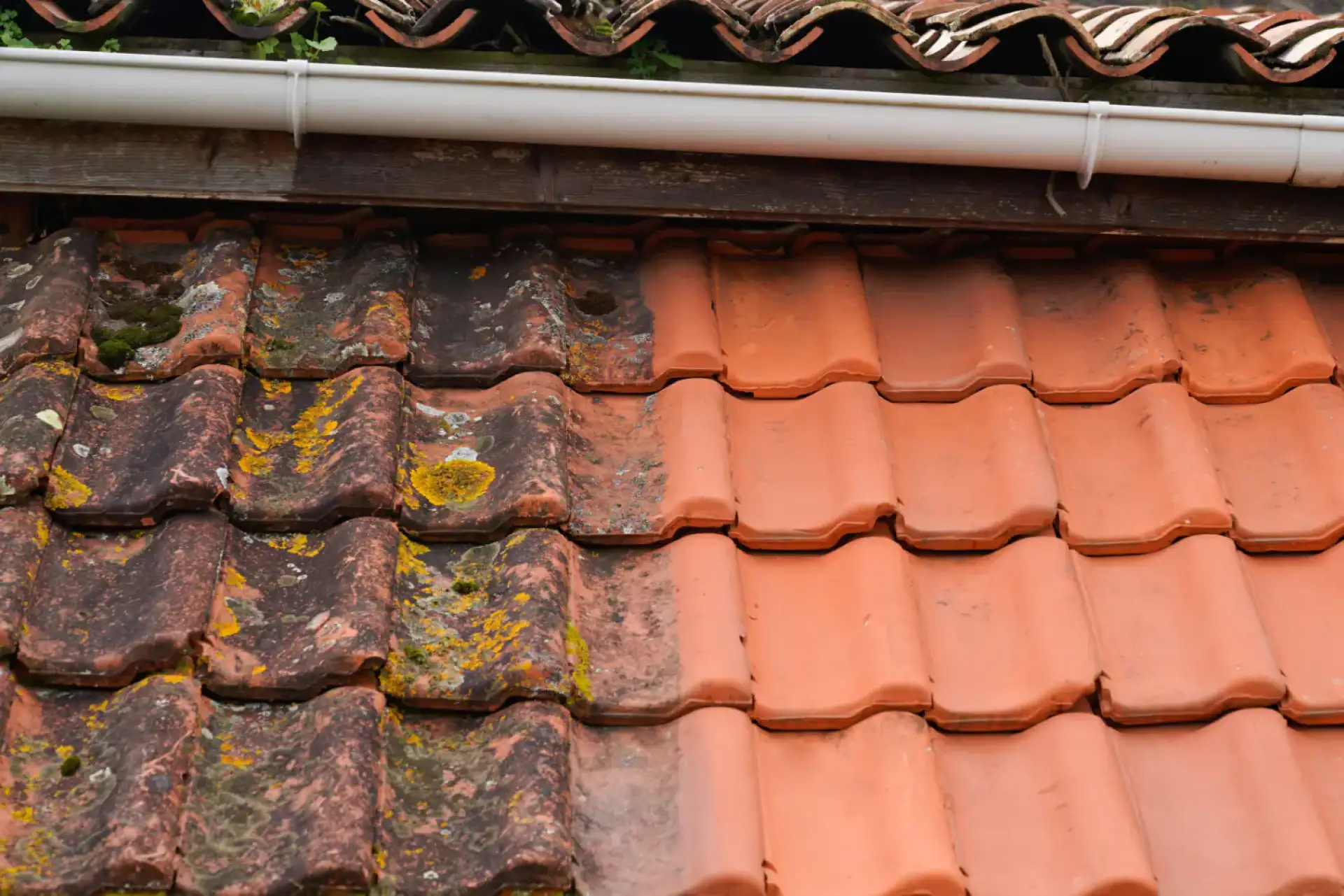 Traitement et entretien de toitures à Marmande