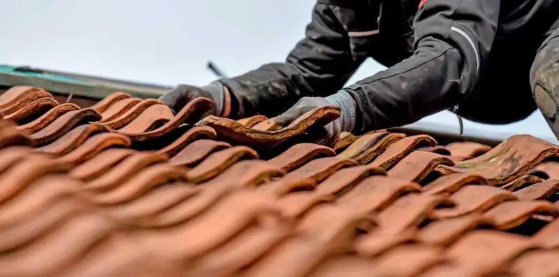 Conseils d'entretien pour une toiture saine durablement